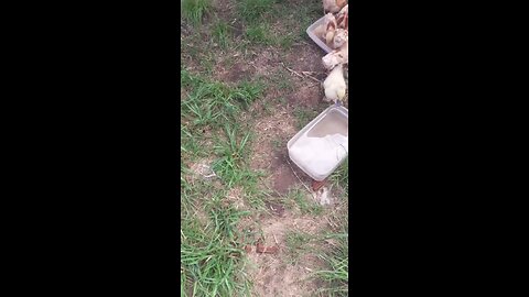 sound ON