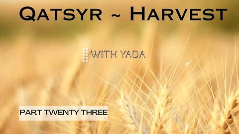 Qatsyr ~ Harvest Part Twenty Three 27 February 2025