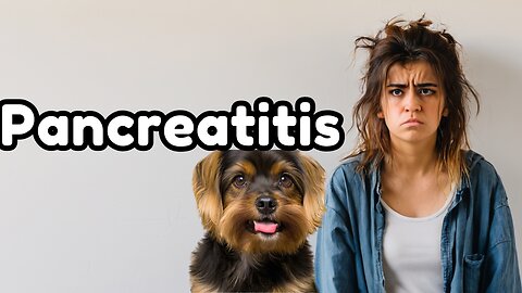 Pancreatitis in the dog