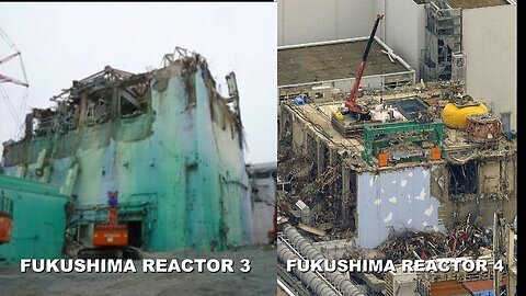Another M6.1 Earthquake Hits Fukushima Nuclear Plant Today / Fusion -Environmentalist Dana Durnford