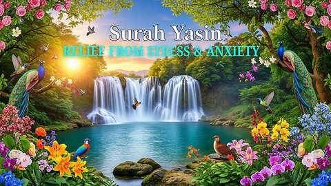 Most Beautiful Surah Yasin Recitation - Heart Soothing & Relief from Anxiety