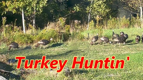 Turkey Huntin'- Saw One Partridge