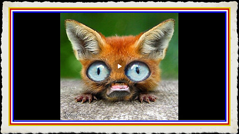 TRUMP STILL SPRAYING US LIKE A SUCKER