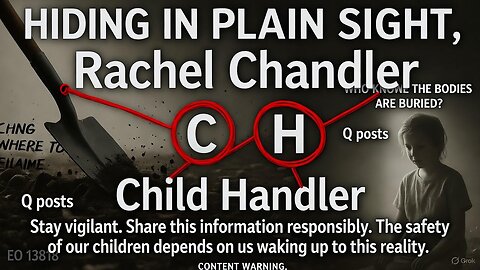 The "Child Handler" Exposed: Coded Names & The Fight to Save Children - The Q Post Coming True