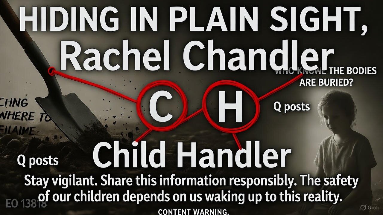 The "Child Handler" Exposed: Coded Names & The Fight to Save Children - The Q Post Coming True