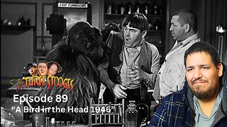 The Three Stooges | Episode 89 | "A Bird in the Head 1946" | Reaction
