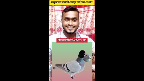 কবুতরের মাথাটি জোড়া লাগিয়ে দেখান #shorts #puzzal #viral #challenging