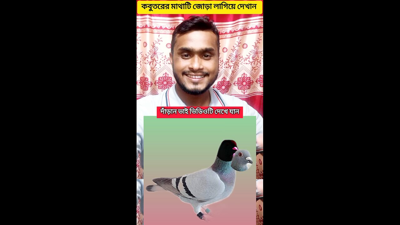 কবুতরের মাথাটি জোড়া লাগিয়ে দেখান #shorts #puzzal #viral #challenging
