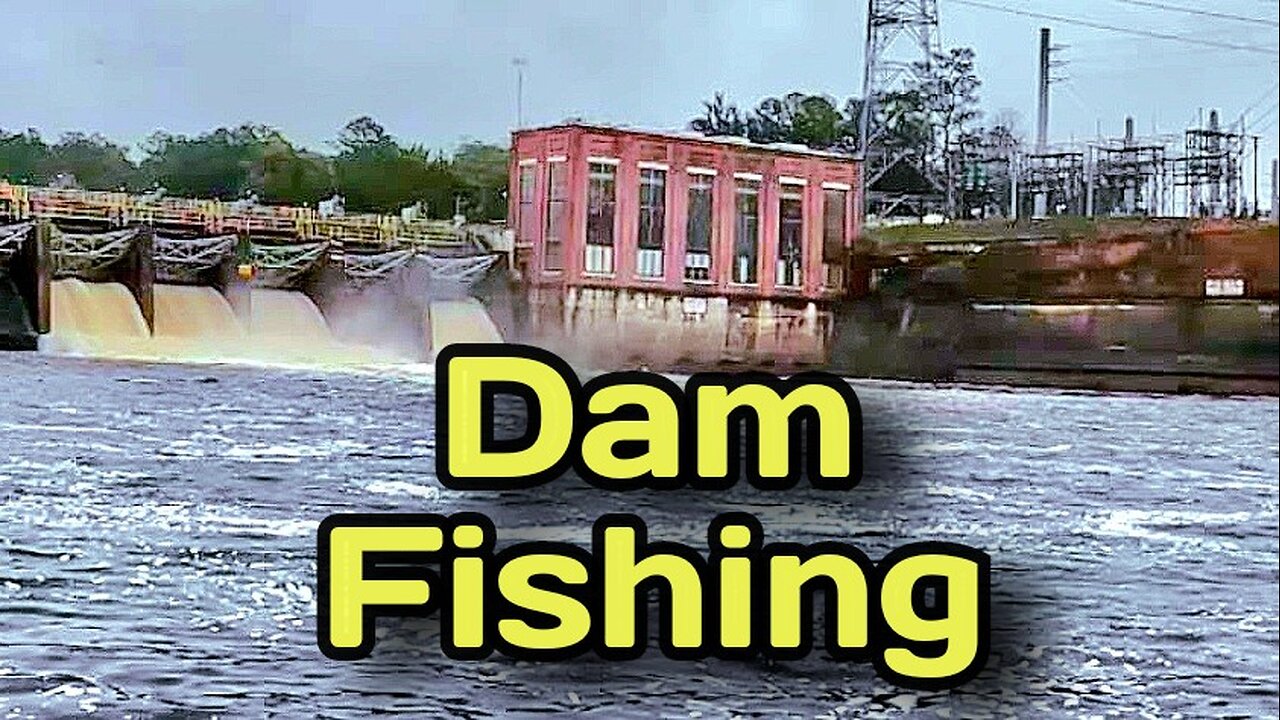 Dam Fishing in Tallahassee, FL