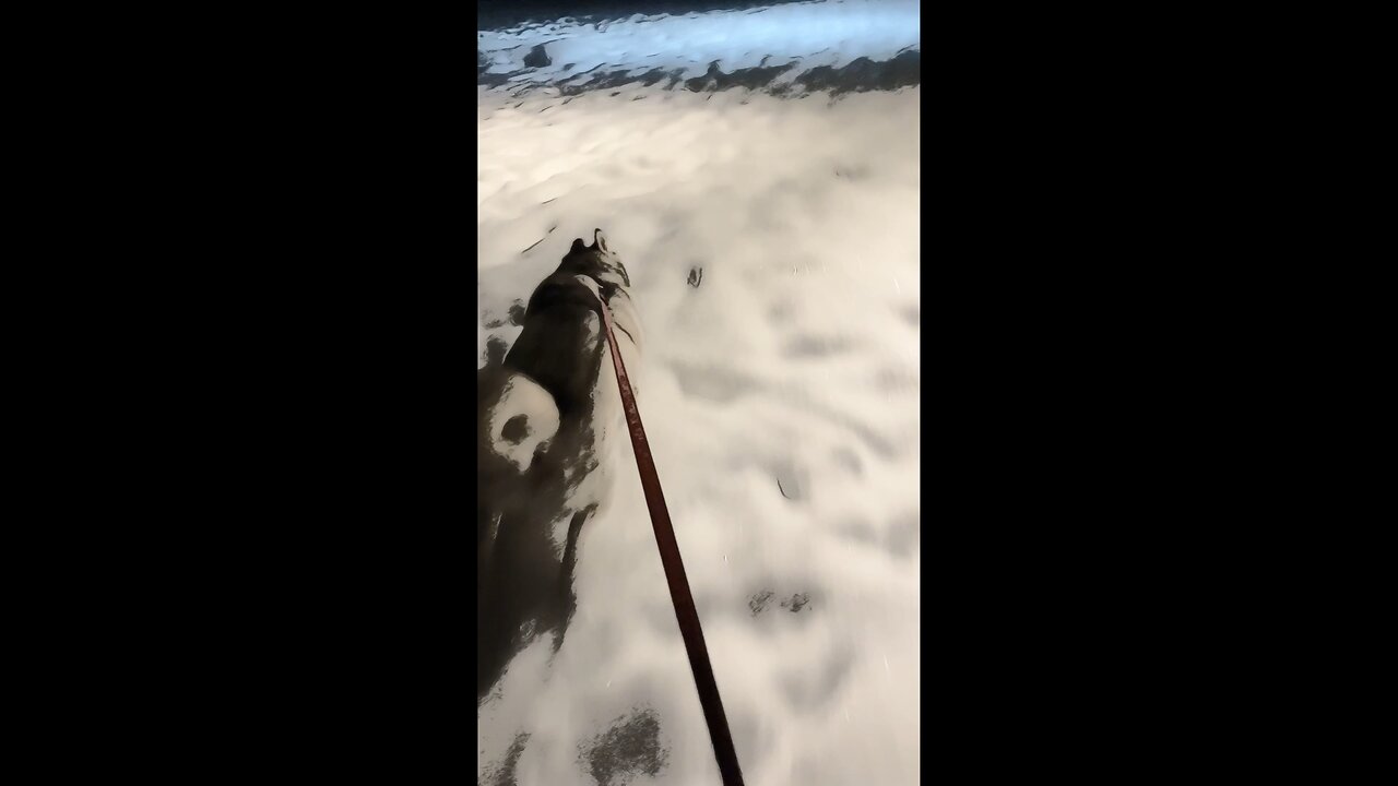 Nightly Running in Snowy Weather