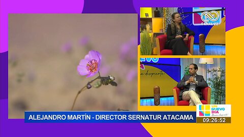 Alejandro Martín Director Sernatur Atacama