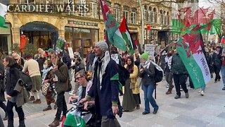 March For Palestine - 3, Cardiff South Wales