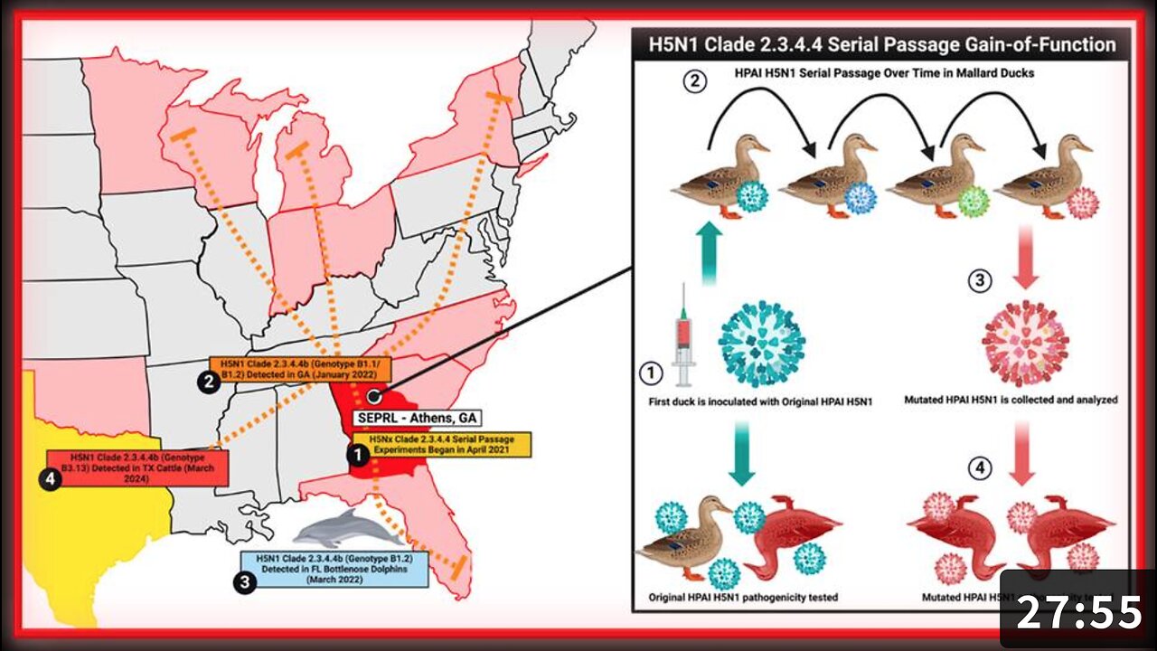 🚨🇺🇸 BREAKING: Current Bird Flu Strain (H5N1) Is Product Of Gain-Of-Function Research from Georgia Biolab