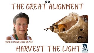 The Great Alignment: Episode #39 HARVEST THE LIGHT