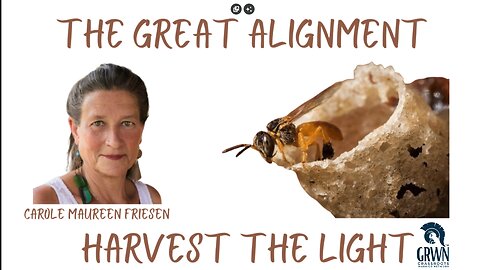 The Great Alignment: Episode #39 HARVEST THE LIGHT