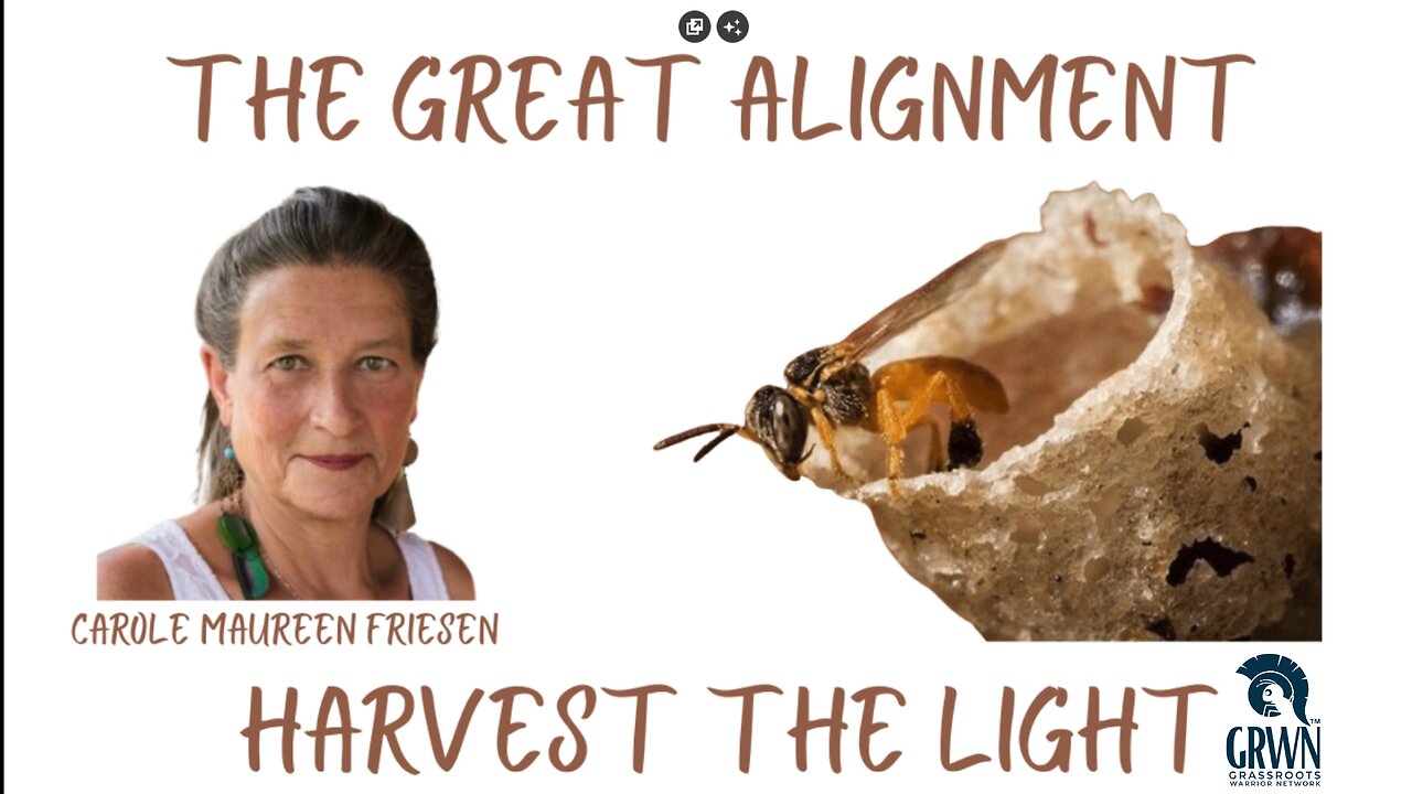 The Great Alignment: Episode #39 HARVEST THE LIGHT