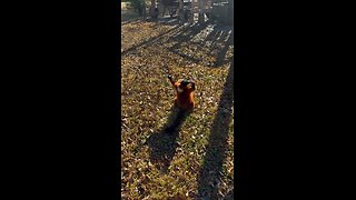 We all worship the Sun after an ice age