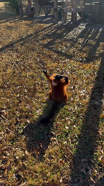 We all worship the Sun after an ice age