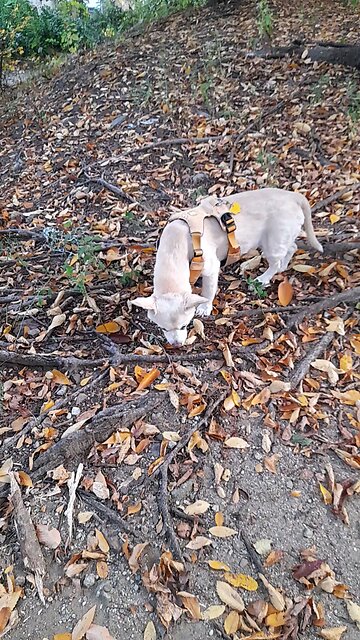 20251109. God Is Love.