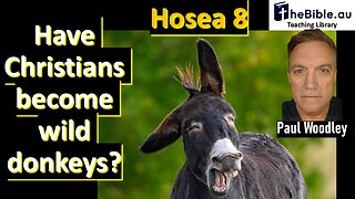 Hosea 8 - Are Christians reaping a whirlwind like Israel?