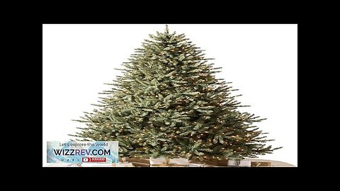 Balsam Hill 7ft Prelit Clear LED String Lights Classic Blue Spruce Review