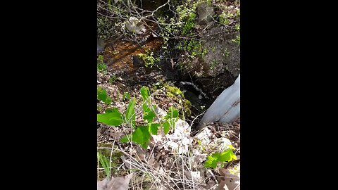 Creek bed water sound relaxing