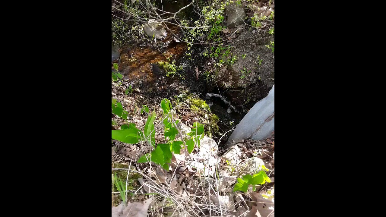 Creek bed water sound relaxing
