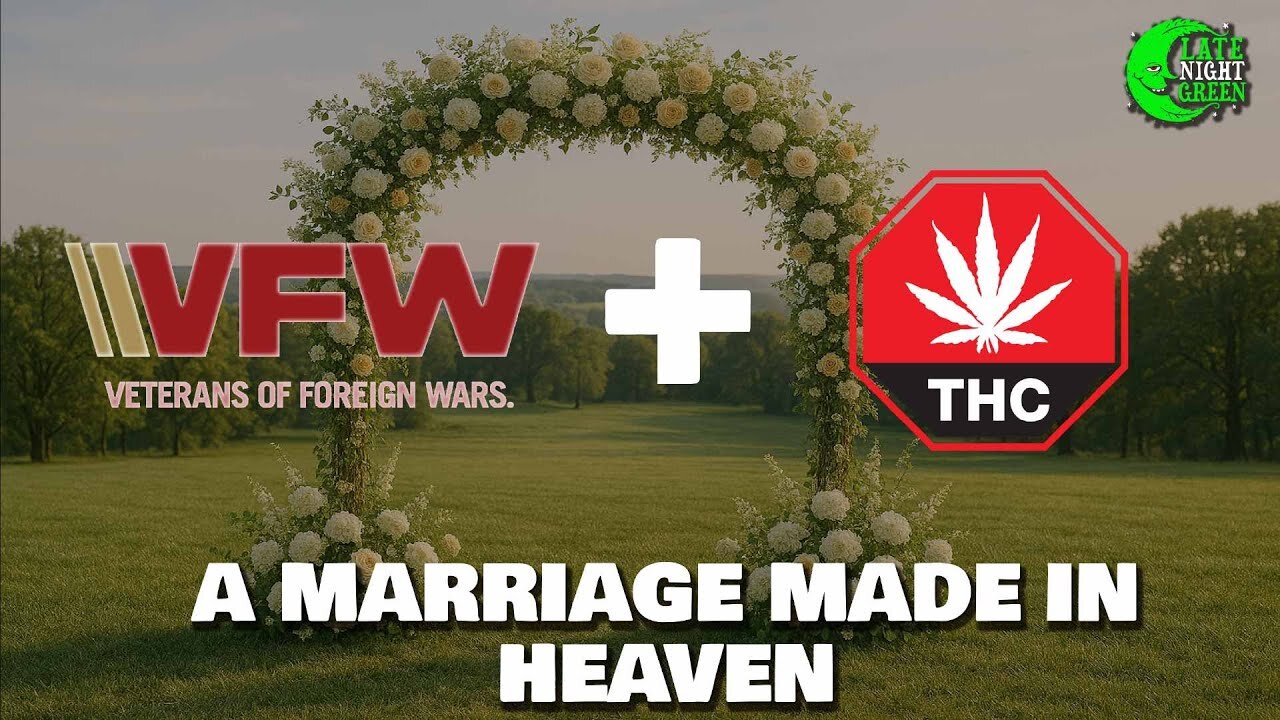 VFW's WILD Partnership: THC Drinks & Supporting Veterans!