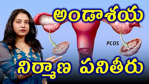 అండాశయ నిర్మాణ పనితీరు Structure and Function of Ovaries Related to PCOD PCOS Treatment | హోమియోపతి