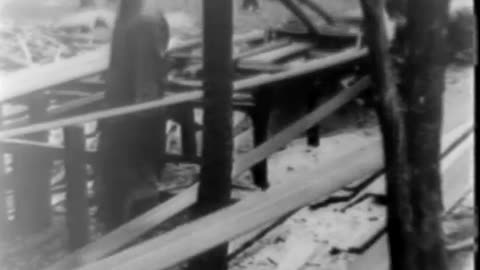 FORDSON [LUMBERING APPLICATIONS],THE - FORDSON [LUMBERING APPLICATIONS],THE - fc-fc-186