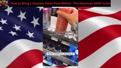 How to Bring a Country Down from Within - The American SNAP Crisis