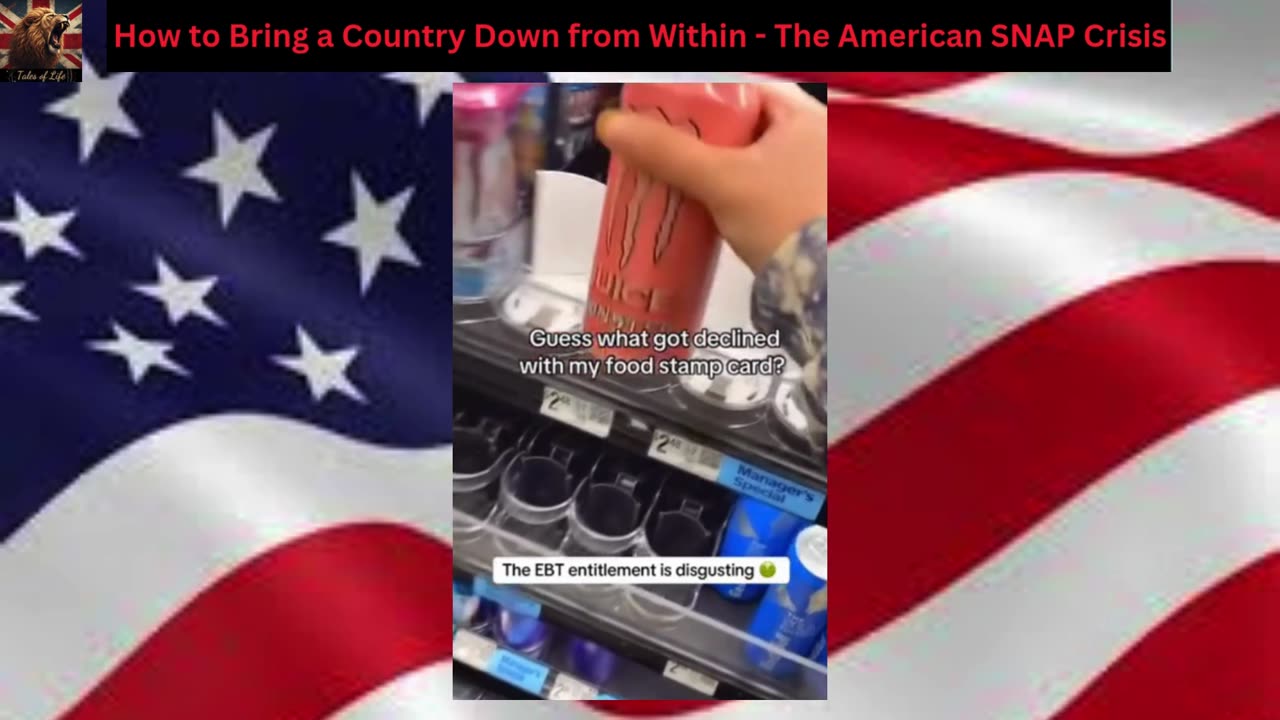 How to Bring a Country Down from Within - The American SNAP Crisis