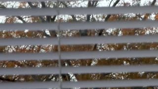 Charlotte North Carolina has programs where illegals are shielding from ICE