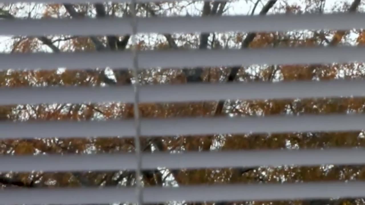 Charlotte North Carolina has programs where illegals are shielding from ICE