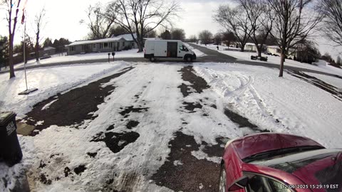 My Cat Keeps Trying to Leave With the Delivery Driver