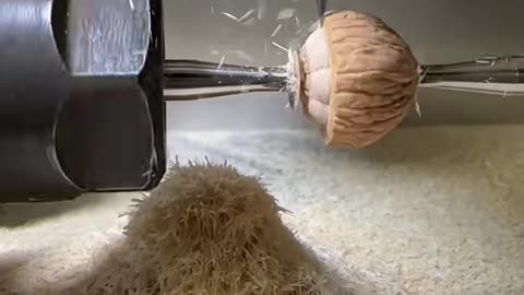 🤯🔭 Watch This Machine In Action! | FeedMyCuriosity