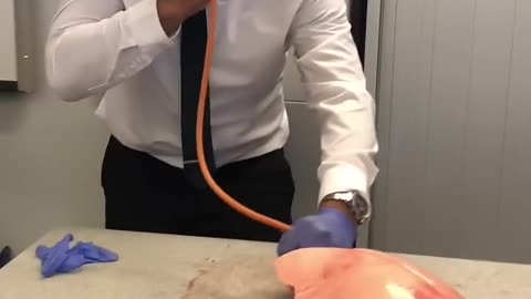 Lung inflation in Science Lesson