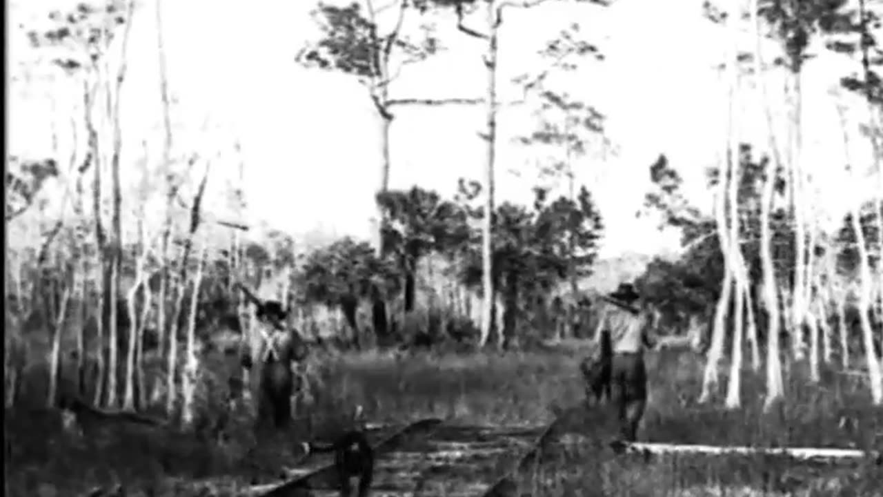 CLEAR TO THE BOTTOM - CLEAR TO THE BOTTOM - fc-fc-2417