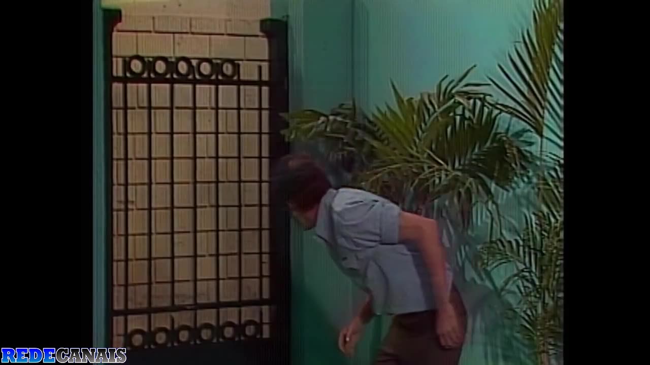 24 - o preço do doutor / a pintura invisível