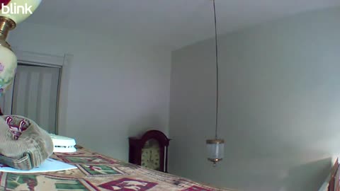 😱👣 Wait For The End... What's At The End Of This Footstep Footage? | TheHauntingHour