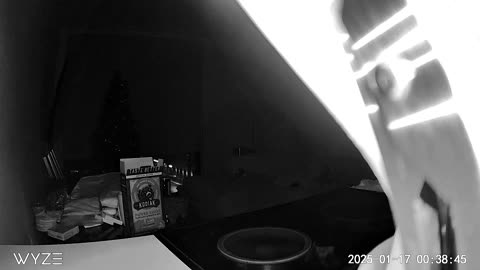 😱👻 Ghost or Glitch? Unexplained Phenomenon | TheHauntingHour
