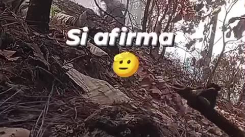 🔥💥 Mexico War | Intense Cartel Clash in Sinaloa Mountains | RCF