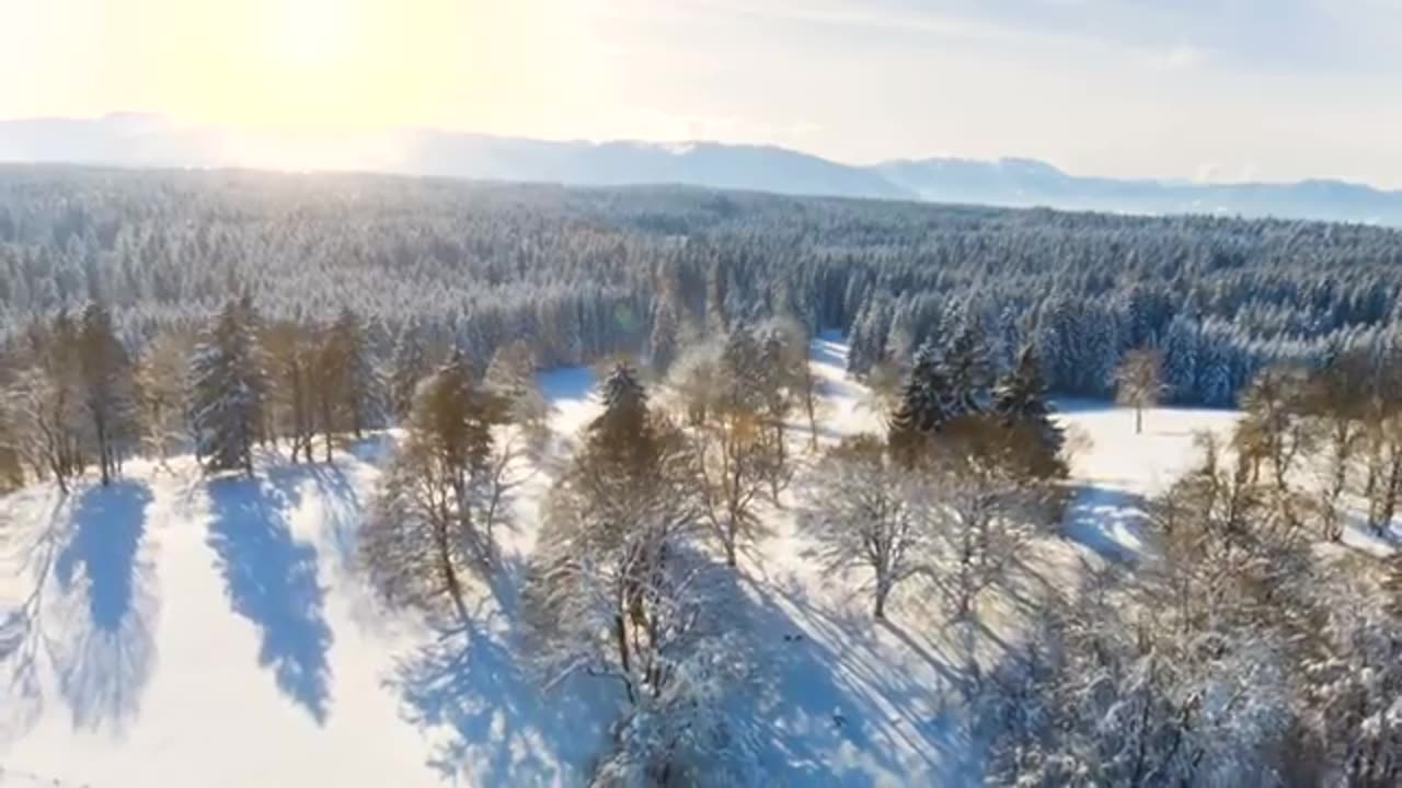 VK Mozart, Bach, Beethoven, Chopin