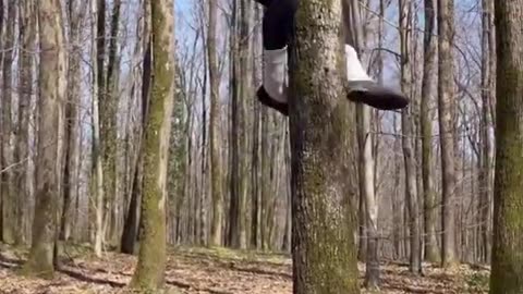 DOĞADAKİ İNSAN how to climb a tree in nature mountain man