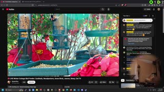 🔴Desktop Live with @wappyflanker