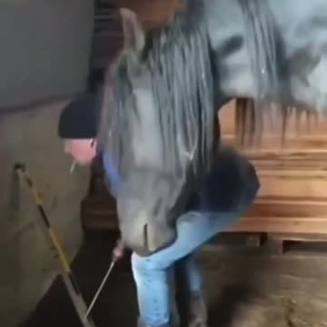 Double checking the work 🤣