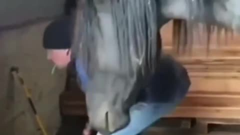 Double checking the work 🤣