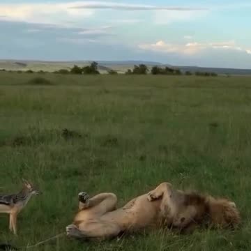 Making sure you are ok budd 🤣