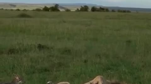 Making sure you are ok budd 🤣