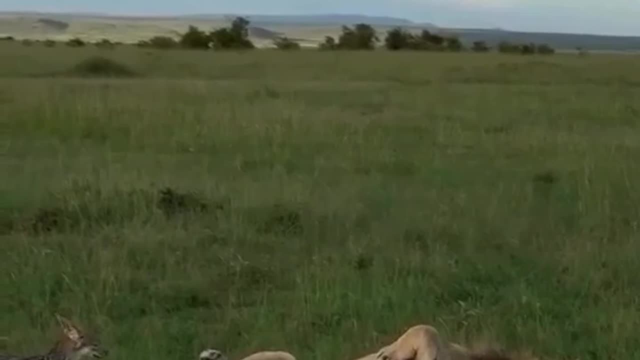 Making sure you are ok budd 🤣